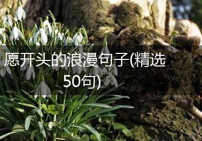 愿开头的浪漫句子(精选50句)