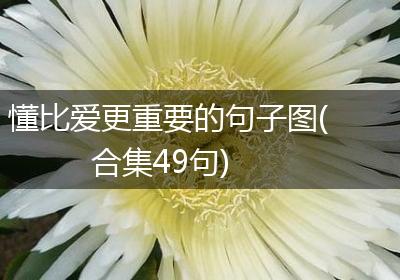 懂比爱更重要的句子图(合集49句)