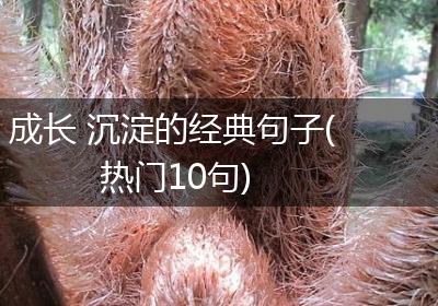 成长 沉淀的经典句子(热门10句)