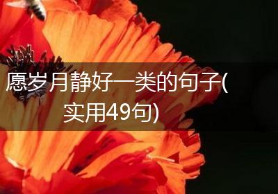 愿岁月静好一类的句子(实用49句)