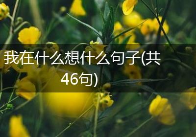 我在什么想什么句子(共46句)