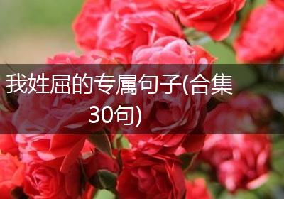 我姓屈的专属句子(合集30句)