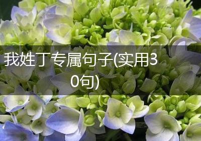 我姓丁专属句子(实用30句)