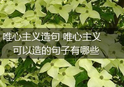 唯心主义造句 唯心主义可以造的句子有哪些