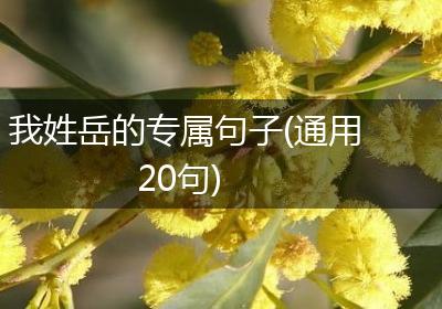 我姓岳的专属句子(通用20句)