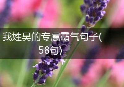 我姓吴的专属霸气句子(58句)