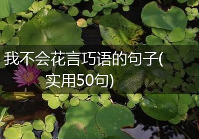 我不会花言巧语的句子(实用50句)
