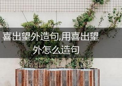 喜出望外造句,用喜出望外怎么造句