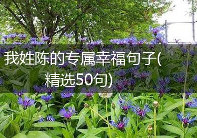 我姓陈的专属幸福句子(精选50句)