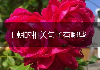 王朝的相关句子有哪些