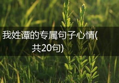 我姓谭的专属句子心情(共20句)