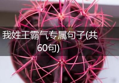 我姓王霸气专属句子(共60句)