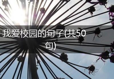 我爱校园的句子(共50句)