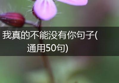 我真的不能没有你句子(通用50句)