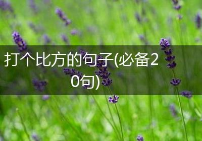 打个比方的句子(必备20句)