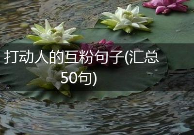 打动人的互粉句子(汇总50句)