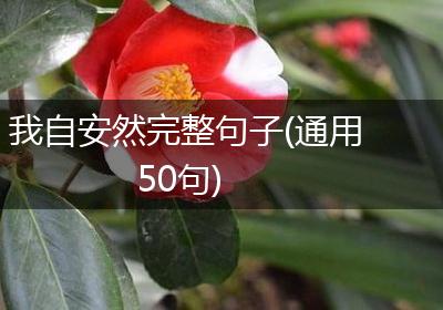 我自安然完整句子(通用50句)