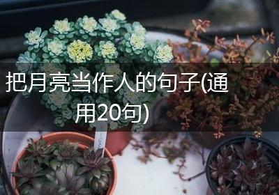 把月亮当作人的句子(通用20句)