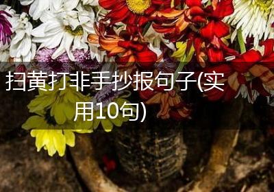 扫黄打非手抄报句子(实用10句)