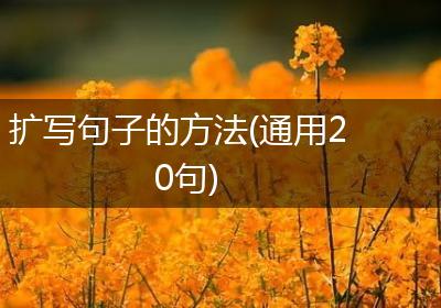 扩写句子的方法(通用20句)
