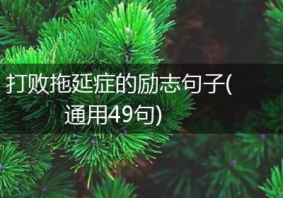 打败拖延症的励志句子(通用49句)