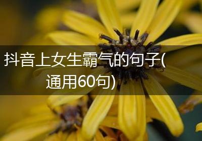 抖音上女生霸气的句子(通用60句)