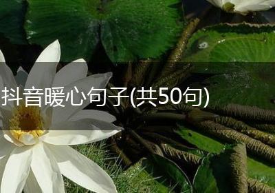 抖音暖心句子(共50句)