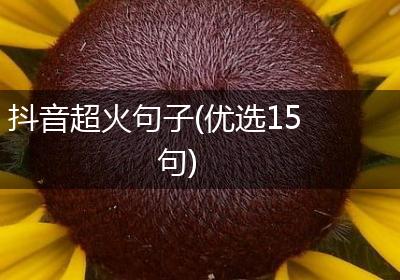 抖音超火句子(优选15句)