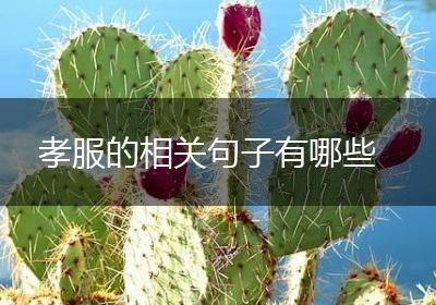 孝服的相关句子有哪些