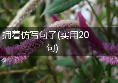 拥着仿写句子(实用20句)