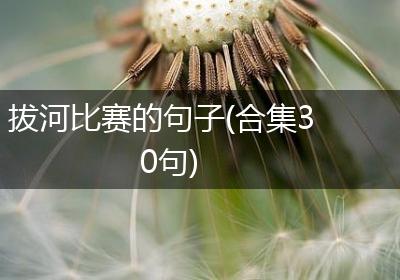 拔河比赛的句子(合集30句)