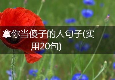 拿你当傻子的人句子(实用20句)