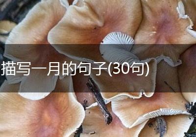 描写一月的句子(30句)