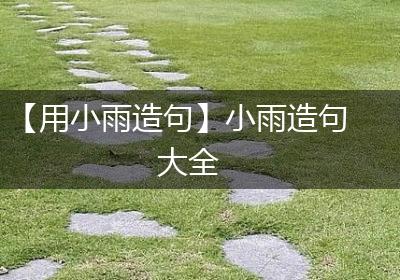 【用小雨造句】小雨造句大全