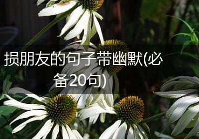 损朋友的句子带幽默(必备20句)