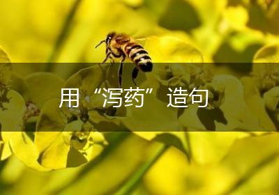 用“泻药”造句