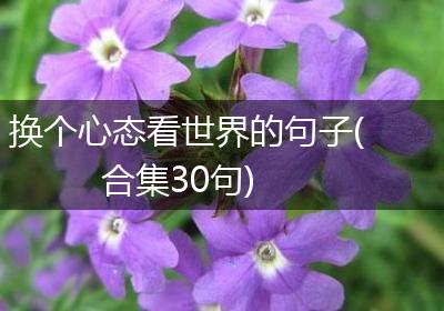 换个心态看世界的句子(合集30句)