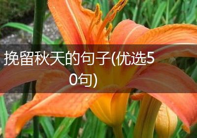 挽留秋天的句子(优选50句)