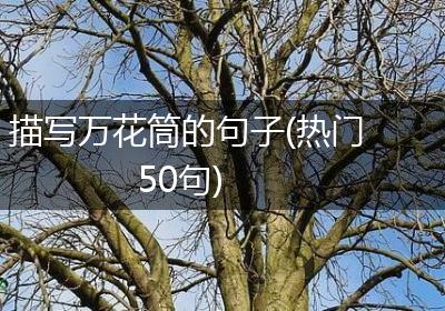 描写万花筒的句子(热门50句)