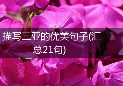 描写三亚的优美句子(汇总21句)