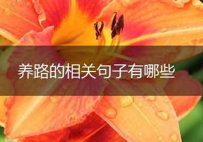 养路的相关句子有哪些
