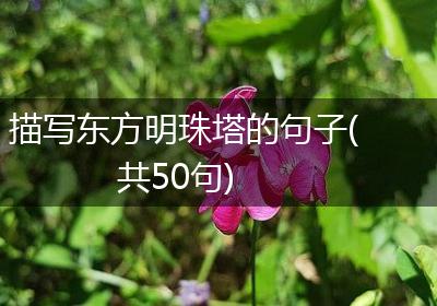 描写东方明珠塔的句子(共50句)