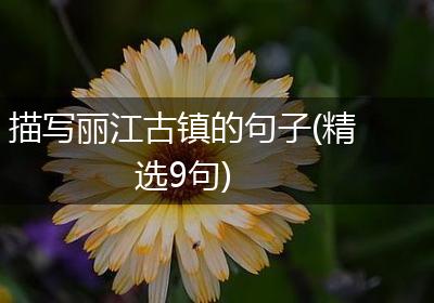 描写丽江古镇的句子(精选9句)