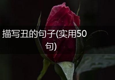 描写丑的句子(实用50句)