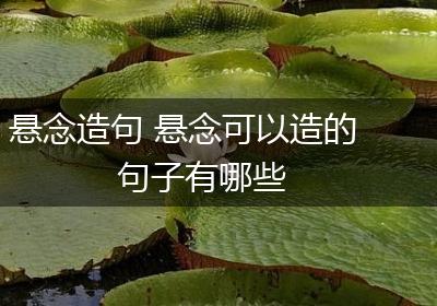 悬念造句 悬念可以造的句子有哪些