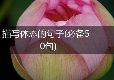 描写体态的句子(必备50句)