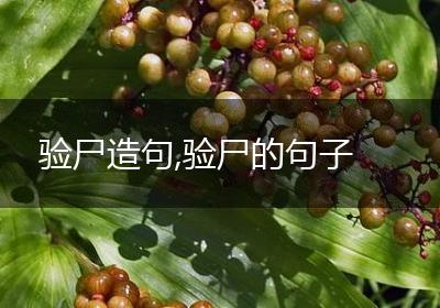 验尸造句,验尸的句子
