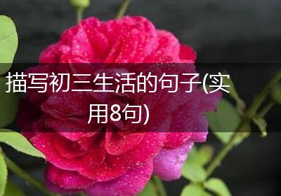 描写初三生活的句子(实用8句)
