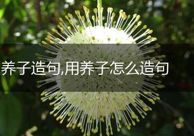 养子造句,用养子怎么造句