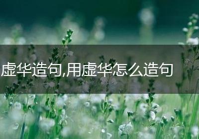 虚华造句,用虚华怎么造句